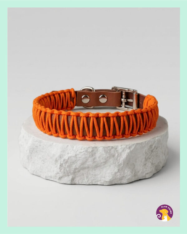 El Yapımı Paracord ve Deri Köpek Tasması – DKT28