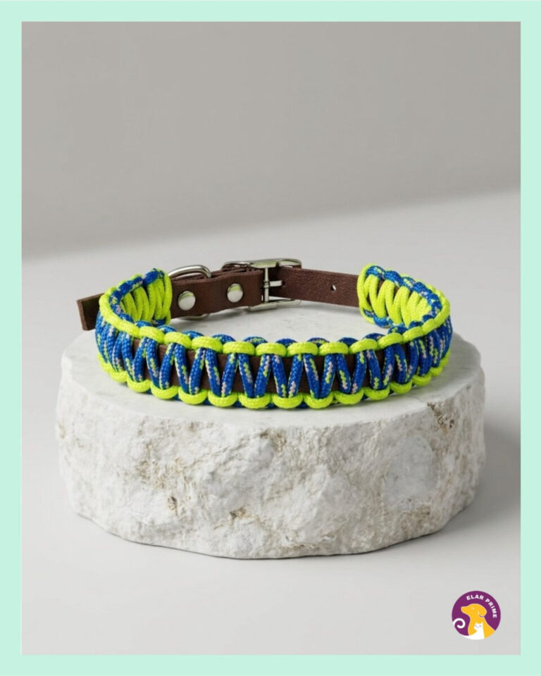 El Yapımı Paracord ve Deri Köpek Boyun Tasması – DKT19