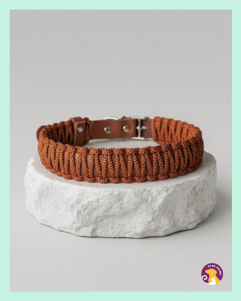 El Yapımı Paracord ve Deri Köpek Boyun Tasması – DKT15