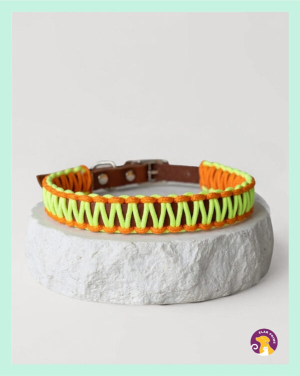 IMG_7478 El Yapımı Paracord ve Deri Köpek Boyun Tasması – DKT17