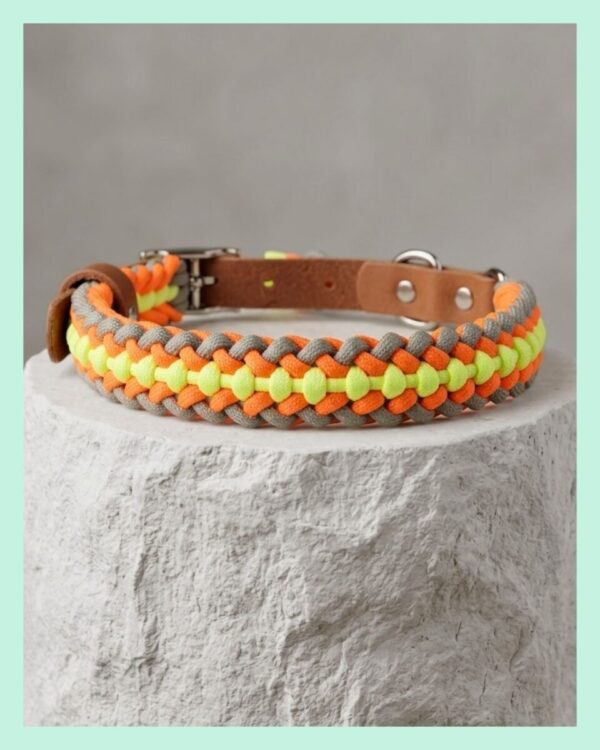 IMG_0599 El Yapımı Gerçek Deri & Paracord Köpek Boyun Tasması – PKT 13